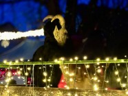 LOZICKÝ EXPRESS - ČERTI