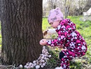 Hasiči Lozice děti: Honba za poklady Novohradky