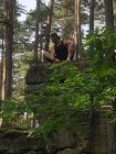 PŘESPÁVAČKA ROUDNÁ 21.-22.6.2025