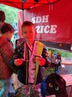 Okrsková soutěž v PÚ Hroubovice (děti i dospělí)
