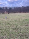 Ukliďme Česko / naučná stezka „STŘEMOŠICKÁ STRÁŇ“