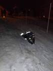 Hasiči Lozice děti: Zimní radovánky 11.1.2019