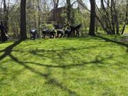 Hasiči Lozice: Memoriál Jaroslava Tauera 20.4.2019