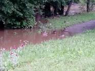 Hasiči Lozice: Povodně III 29.6.2020