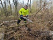 Brigáda: zdokonalování se v práci s motorovou pilou