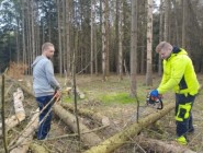 Brigáda: zdokonalování se v práci s motorovou pilou