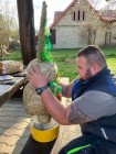 Rozutečení velikonoční zajíčci v Lozicích
