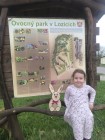 Rozutečení velikonoční zajíčci v Lozicích