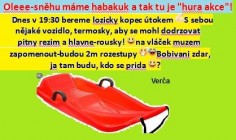 Hasiči Lozice: Sáňkování
