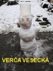 Lozický sněhulák 7.-10.1.2021
