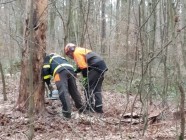 Hasiči Lozice: Školení motorovou pilou - únor 2021