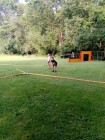 Hasiči Lozice děti: Prázdninové soustředění