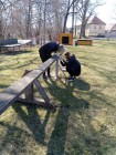 Brigáda: sestavování překážek