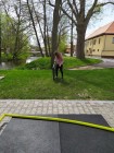 Brigáda: Malování kapličky I. a úklid.....
