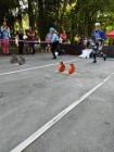 Sečské šedesátky