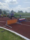Pardubické závody v 60 m překážek