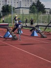 Pardubické závody v 60 m překážek