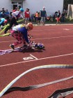 Pardubické závody v 60 m překážek