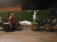 Úklid, úklid a zase úklid po povodních
