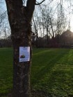 LOCKDOWNOVÉ VELIKONOCE v Lozicích